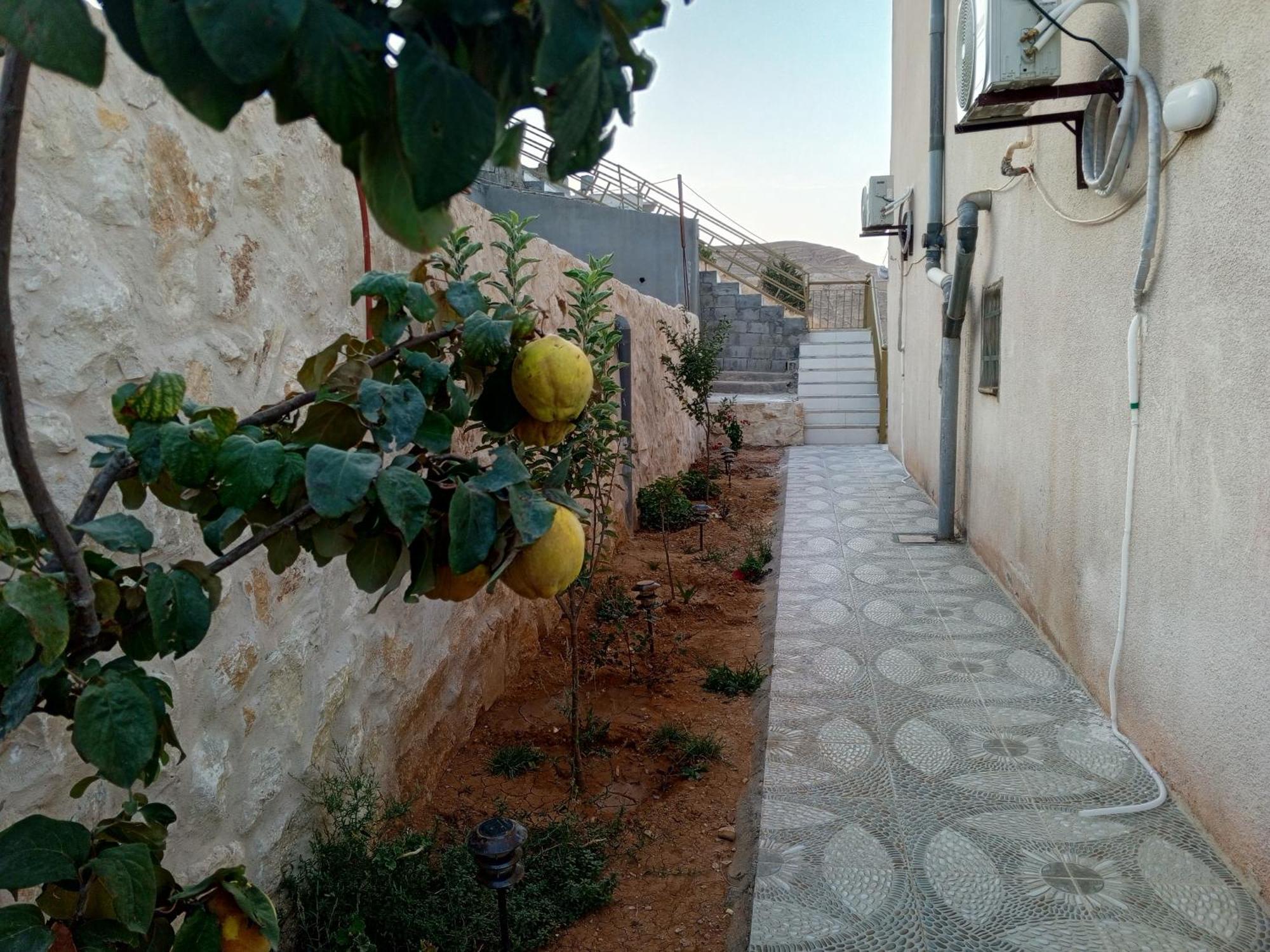 Petra Inn House Wadi Musa Dış mekan fotoğraf